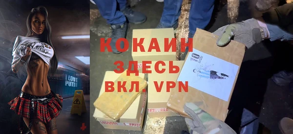 apvp Алзамай