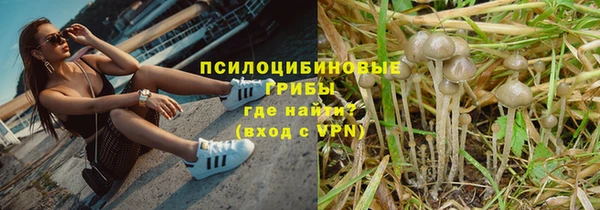 apvp Алзамай