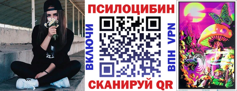 Галлюциногенные грибы Magic Shrooms  blacksprut   Новая Ладога  дарнет шоп 