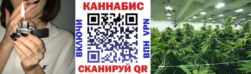 Бошки Шишки тримм  где купить наркоту  Новая Ладога 